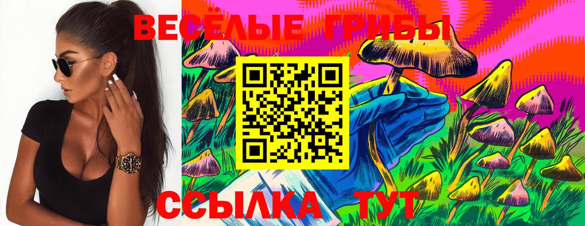 купить  цена  Вход с VPN  Усть-Кут  Псилоцибиновые грибы Cubensis 