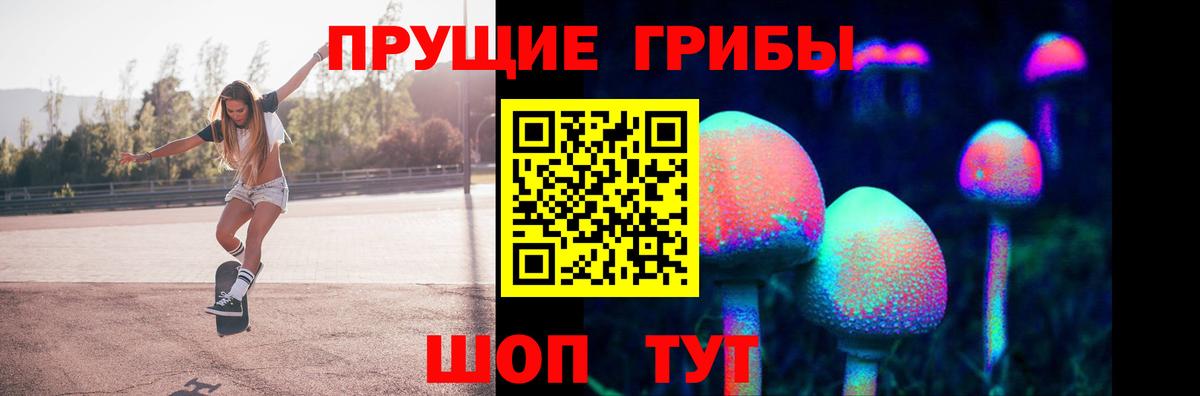 Галлюциногенные грибы Psilocybe Усть-Кут
